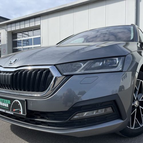 Octavia Combi 2.0 TDI DSG 4x4 Clever 150¤ m.20% Anz. Navi ACC LED 4xSHZ RFK el.Klappe LR-HZG