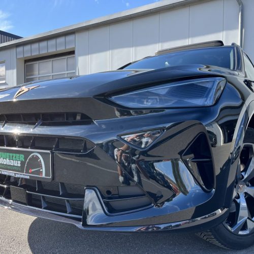 Formentor 2.0 TDI DSG 206¤ m.20% Anz. AHK PANO KAMERA DigCockpit Navi ACC LED DAB SHZ
