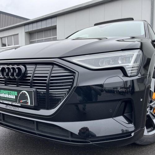e-tron 50 Advanced 175
