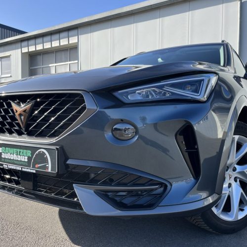 Formentor 2.0 TDI DSG 4Drive